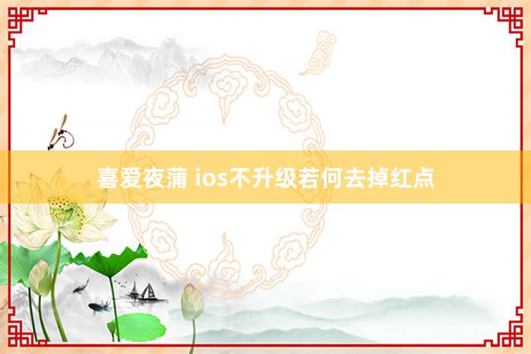 喜爱夜蒲 ios不升级若何去掉红点