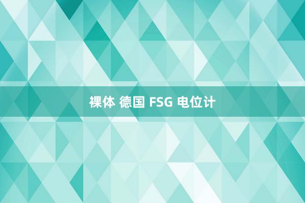 裸体 德国 FSG 电位计