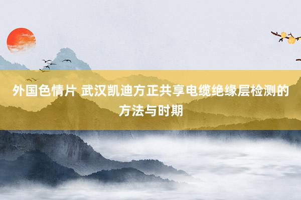 外国色情片 武汉凯迪方正共享电缆绝缘层检测的方法与时期