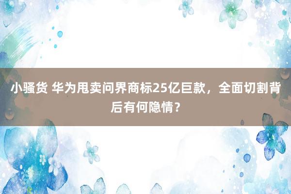 小骚货 华为甩卖问界商标25亿巨款，全面切割背后有何隐情？