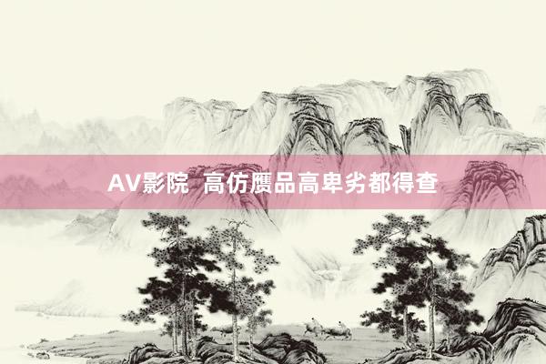 AV影院  高仿赝品高卑劣都得查