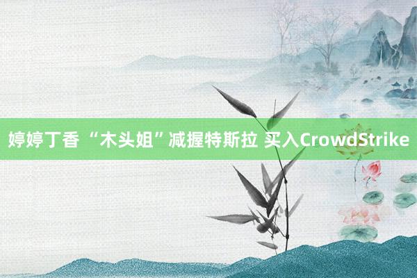 婷婷丁香 “木头姐”减握特斯拉 买入CrowdStrike