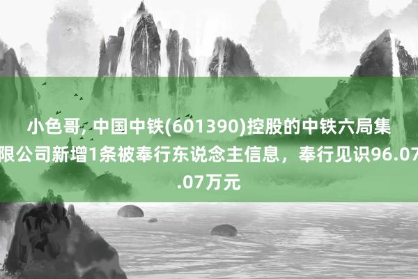 小色哥, 中国中铁(601390)控股的中铁六局集团有限公司新增1条被奉行东说念主信息，奉行见识96.07万元