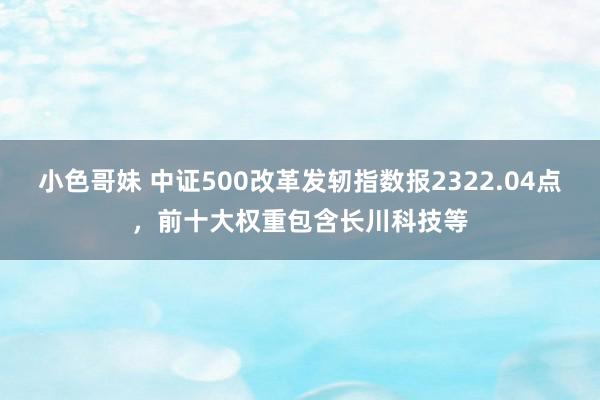 小色哥妹 中证500改革发轫指数报2322.04点，前十大权重包含长川科技等