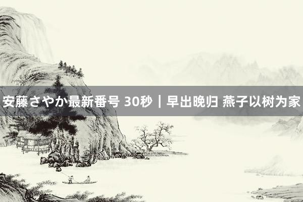 安藤さやか最新番号 30秒｜早出晚归 燕子以树为家