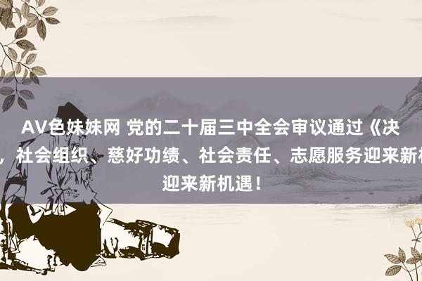 AV色妹妹网 党的二十届三中全会审议通过《决定》，社会组织、慈好功绩、社会责任、志愿服务迎来新机遇！