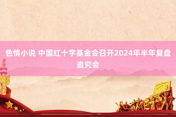 色情小说 中国红十字基金会召开2024年半年复盘追究会