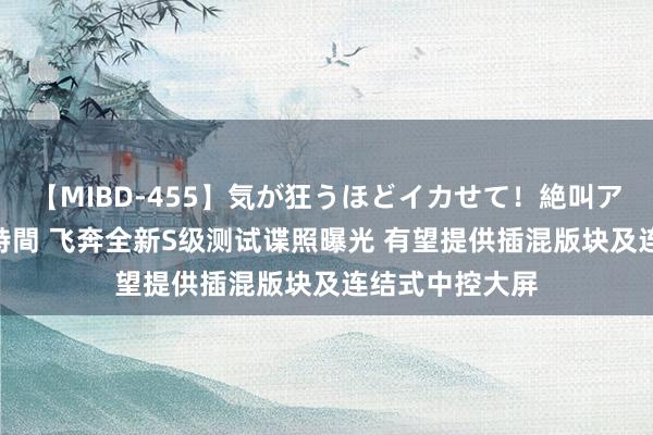 【MIBD-455】気が狂うほどイカせて！絶叫アクメ50連発4時間 飞奔全新S级测试谍照曝光 有望提供插混版块及连结式中控大屏