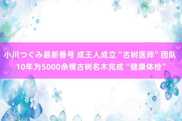 小川つぐみ最新番号 成王人成立“古树医师”团队 10年为5000余棵古树名木完成“健康体检”