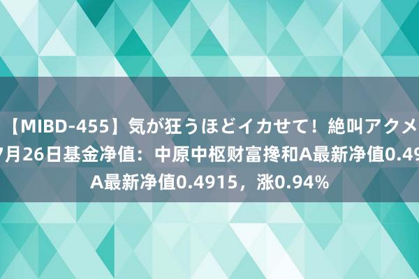 【MIBD-455】気が狂うほどイカせて！絶叫アクメ50連発4時間 7月26日基金净值：中原中枢财富搀和A最新净值0.4915，涨0.94%