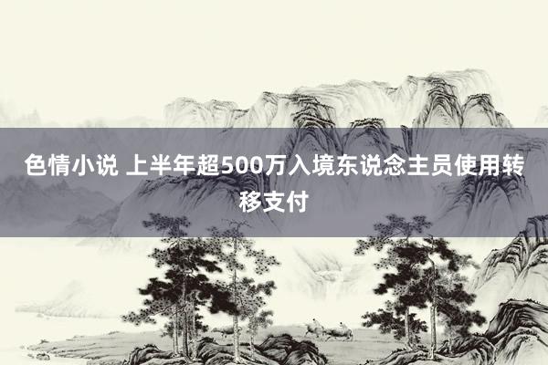 色情小说 上半年超500万入境东说念主员使用转移支付