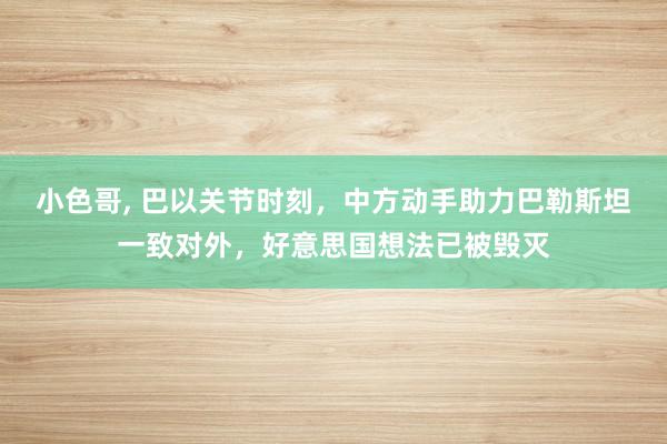 小色哥, 巴以关节时刻，中方动手助力巴勒斯坦一致对外，好意思国想法已被毁灭