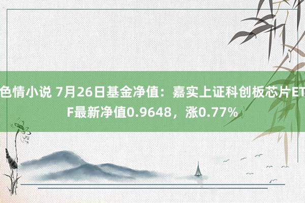 色情小说 7月26日基金净值：嘉实上证科创板芯片ETF最新净值0.9648，涨0.77%