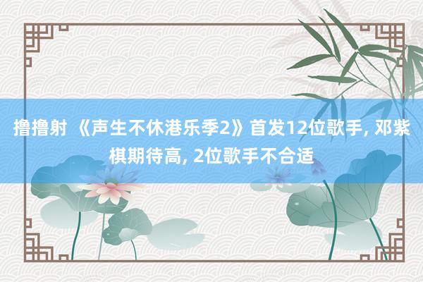 撸撸射 《声生不休港乐季2》首发12位歌手, 邓紫棋期待高, 2位歌手不合适