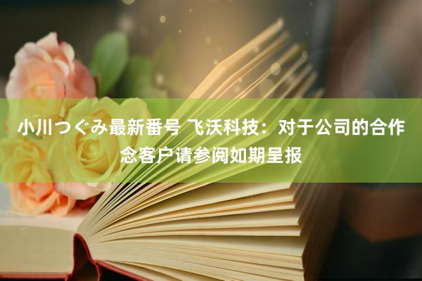 小川つぐみ最新番号 飞沃科技：对于公司的合作念客户请参阅如期呈报