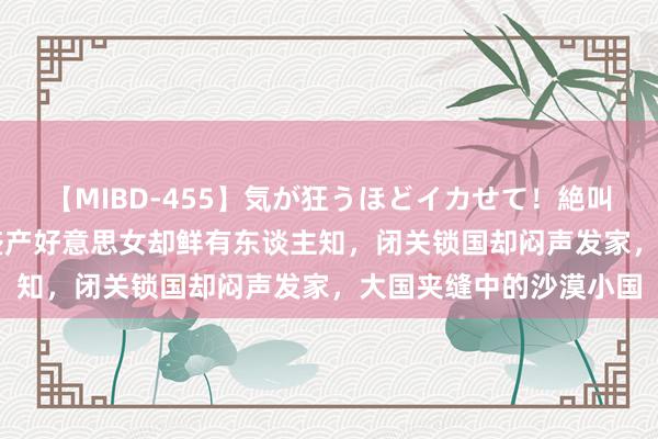 【MIBD-455】気が狂うほどイカせて！絶叫アクメ50連発4時間 盛产好意思女却鲜有东谈主知，闭关锁国却闷声发家，大国夹缝中的沙漠小国