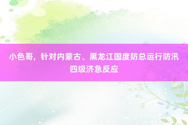 小色哥,  针对内蒙古、黑龙江国度防总运行防汛四级济急反应