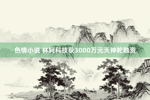 色情小说 林轲科技获3000万元天神轮融资