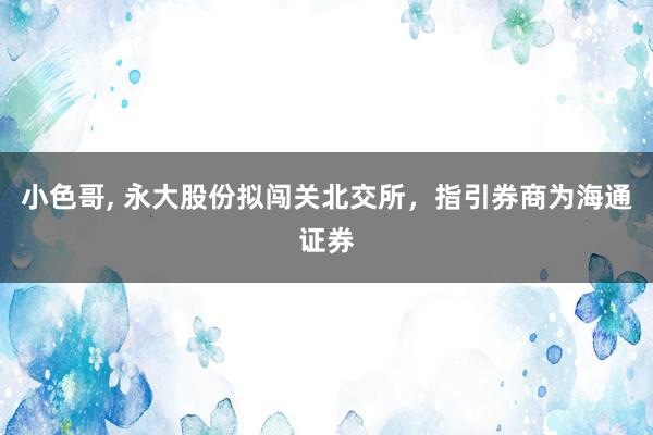 小色哥, 永大股份拟闯关北交所，指引券商为海通证券