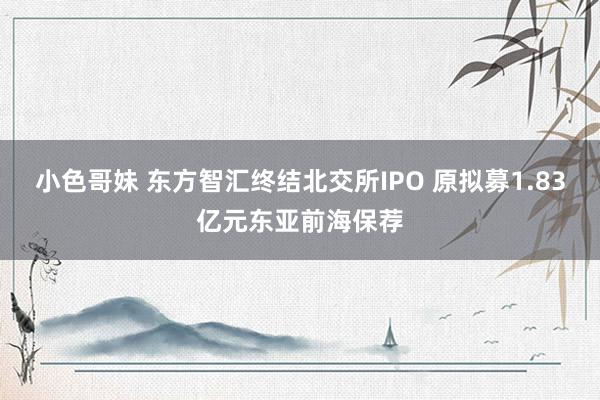 小色哥妹 东方智汇终结北交所IPO 原拟募1.83亿元东亚前海保荐