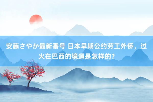 安藤さやか最新番号 日本早期公约劳工外侨，过火在巴西的境遇是怎样的？