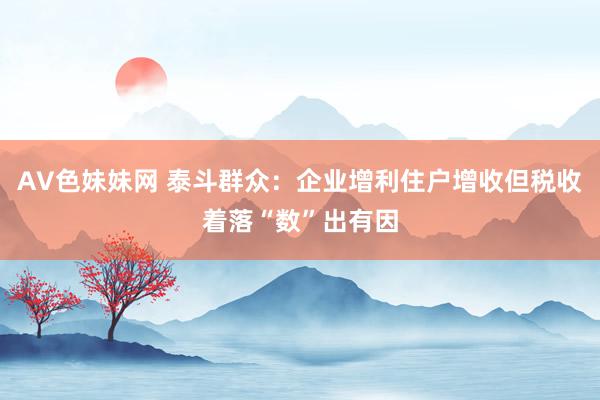 AV色妹妹网 泰斗群众：企业增利住户增收但税收着落“数”出有因