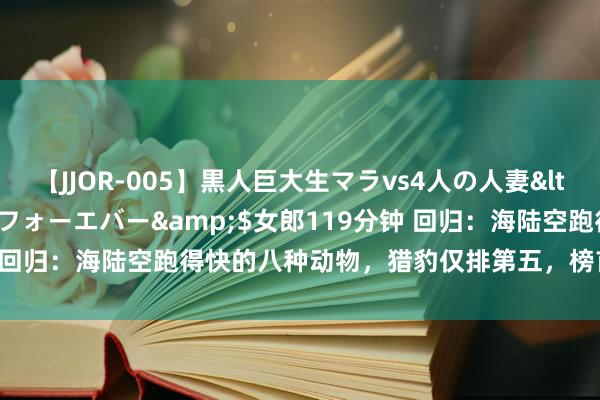 【JJOR-005】黒人巨大生マラvs4人の人妻</a>2008-08-02フォーエバー&$女郎119分钟 回归：海陆空跑得快的八种动物，猎豹仅排第五，榜首1秒挪动116米