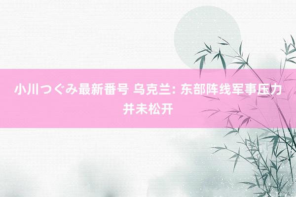 小川つぐみ最新番号 乌克兰: 东部阵线军事压力并未松开