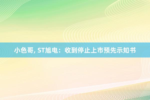 小色哥, ST旭电：收到停止上市预先示知书