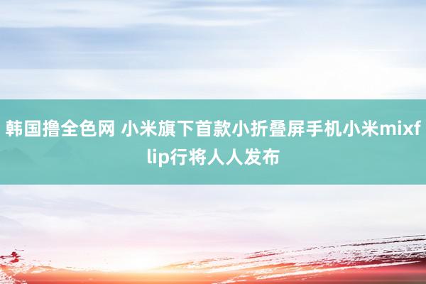 韩国撸全色网 小米旗下首款小折叠屏手机小米mixflip行将人人发布