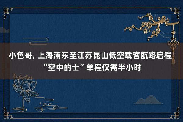 小色哥, 上海浦东至江苏昆山低空载客航路启程 “空中的士”单程仅需半小时