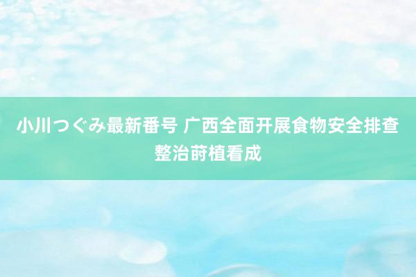 小川つぐみ最新番号 广西全面开展食物安全排查整治莳植看成