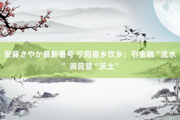 安藤さやか最新番号 宁阳县乡饮乡：引金融“流水” 润民营“沃土”