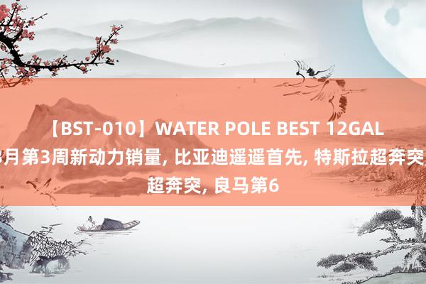 【BST-010】WATER POLE BEST 12GALs 8時間 8月第3周新动力销量, 比亚迪遥遥首先, 特斯拉超奔突, 良马第6