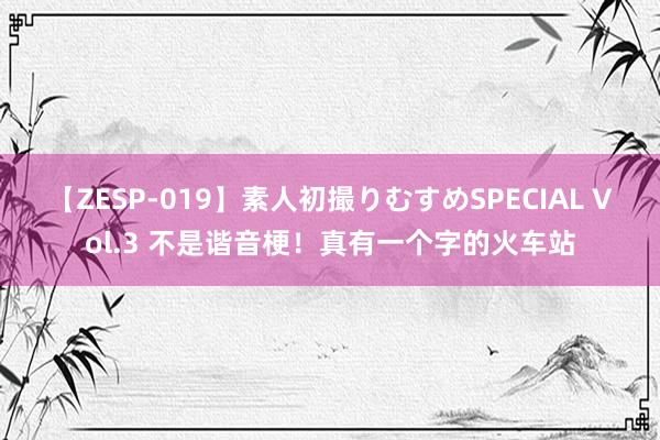 【ZESP-019】素人初撮りむすめSPECIAL Vol.3 不是谐音梗！真有一个字的火车站